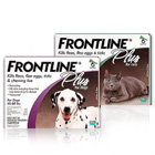 Frontline Frontline